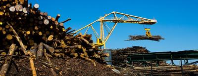 Rayonier Chip Mill